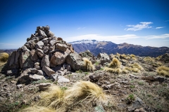 The top of Nogal Peak
