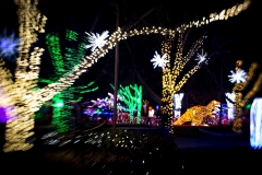 River of Lights.  Albuquerque, NM December 26, 2019 River of Lights.  Albuquerque, NM December 26, 2019