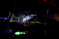 River of Lights.  Albuquerque, NM December 26, 2019 River of Lights.  Albuquerque, NM December 26, 2019